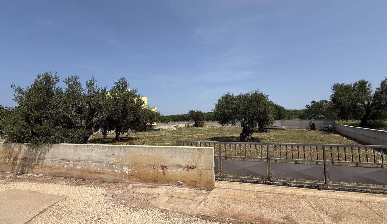 image00001