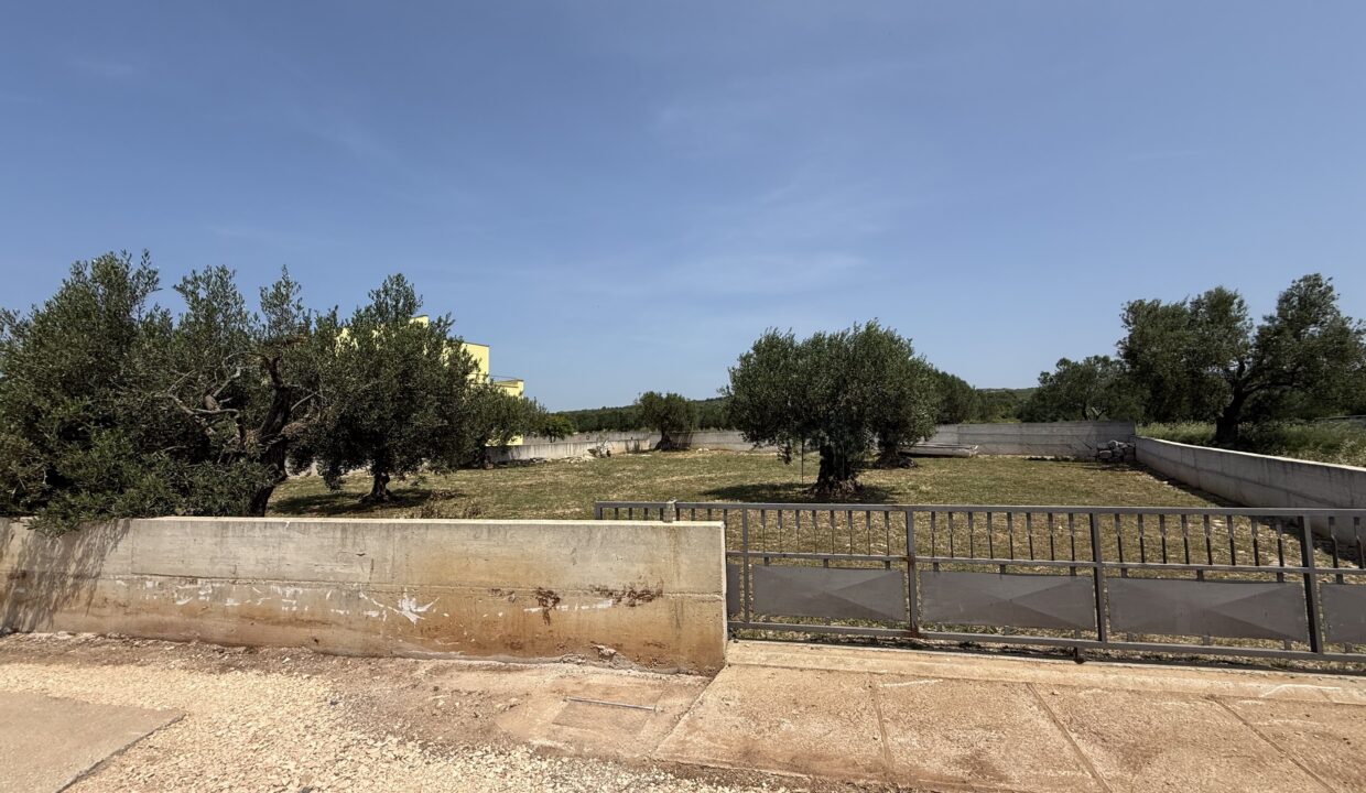image00002