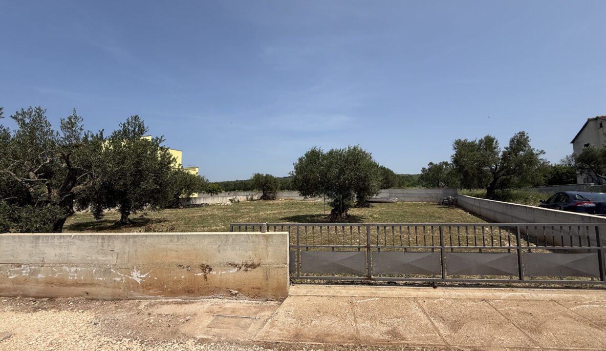 image00003