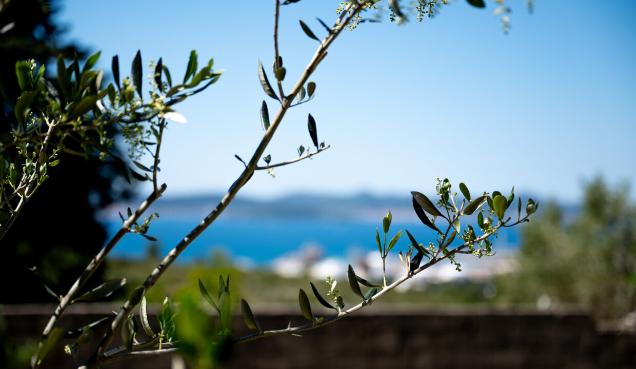 image00003