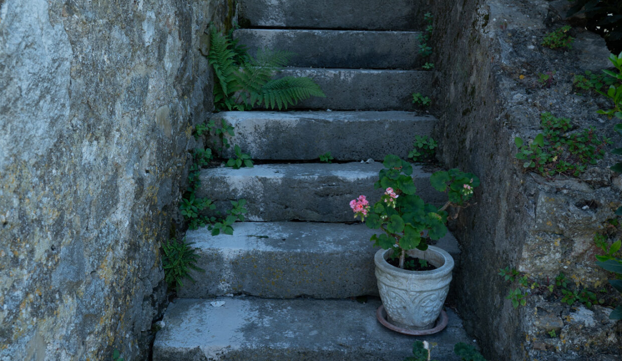 image00035